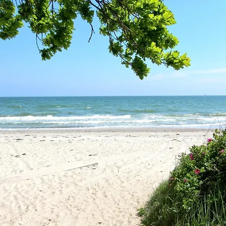 Strandnahe Mit Terrasse, Gratis Nutzung Vom Ahoi Erlebnisbad Und Sauna In Sellin - Rex Rugia 14-4